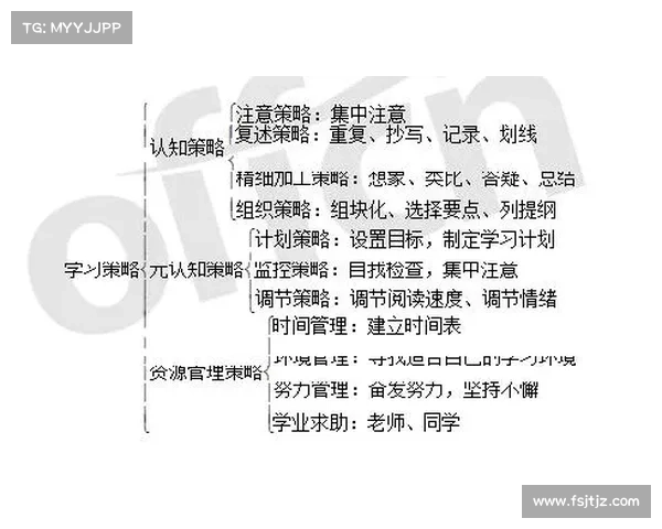 心理博弈中的七大关键策略及其在日常生活中的应用解析 心理博弈中的七大关键策略及其在日常生活中的应用解析