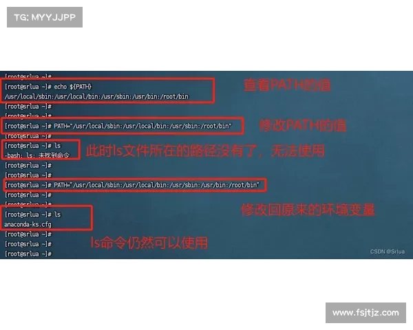 掌握行会3必看全攻略精粹从新手到高手的全面指南 掌握行会3必看全攻略精粹从新手到高手的全面指南